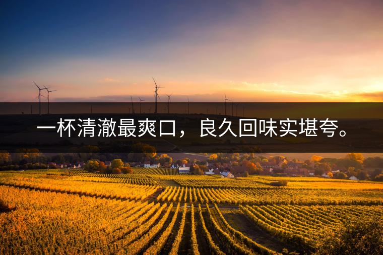 若能一日車船至，從此美名滿天涯。