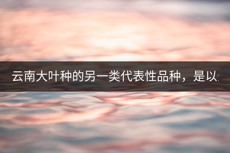 云南大葉種的另一類代表性品種，是以無性繁殖方式選育出來的云南大葉種的后代。主要有：云抗43號、長葉白毫；云抗10號、云抗14號：云梅、云瑰、矮豐等；云選9號、云抗37號.