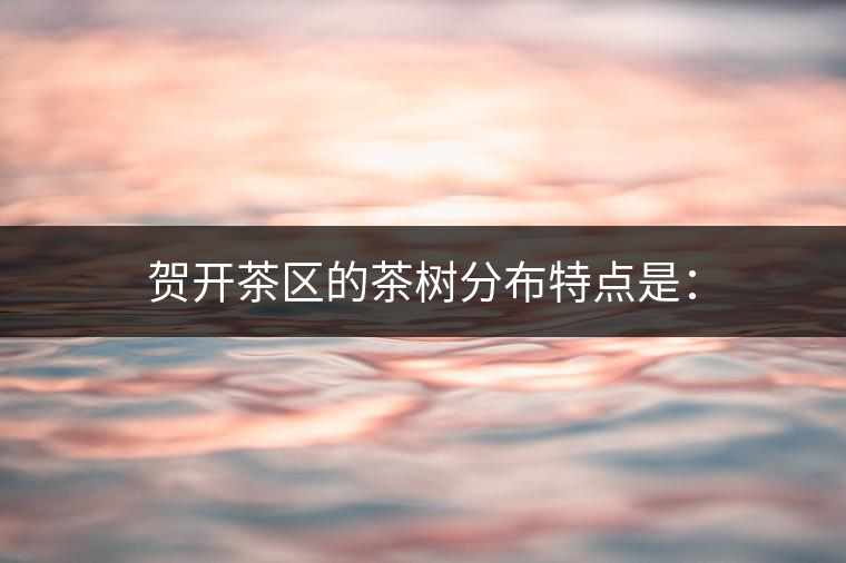 賀開茶區(qū)的茶樹分布特點(diǎn)是：