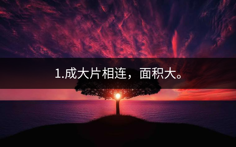 1.成大片相連，面積大。