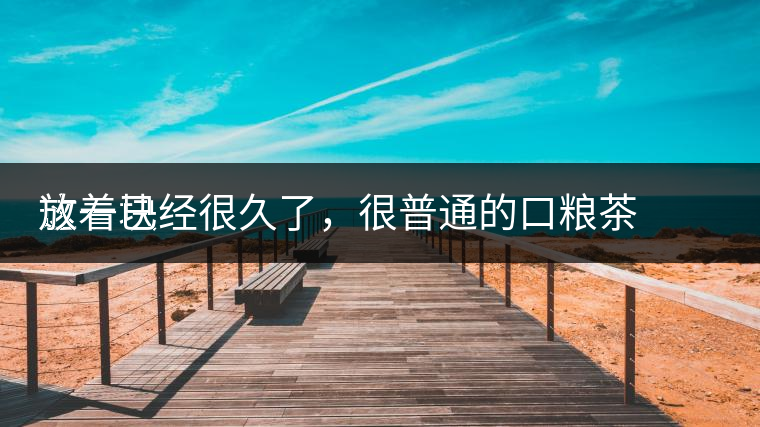 這一塊
放著已經(jīng)很久了，很普通的口糧茶，煙味很重，但回甘也可以，隨意喝喝吧。