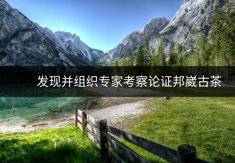 　　發(fā)現(xiàn)并組織專家考察論證邦崴古茶樹是世界上唯一的過渡型千年古茶樹，長期致力于保護瀾滄景邁古茶林，成為古茶樹保護的忠誠衛(wèi)士，被譽為”中國古茶第一人”。