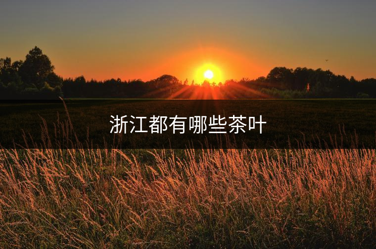 浙江都有哪些茶葉