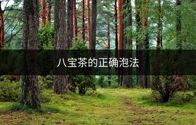 八寶茶的正確泡法