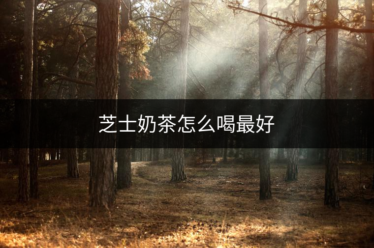 芝士奶茶怎么喝最好 芝士奶茶怎么喝最好