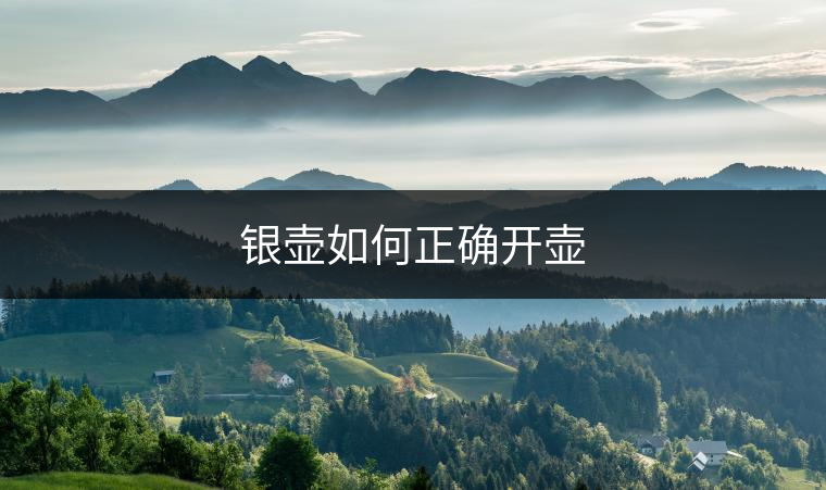 銀壺如何正確開壺