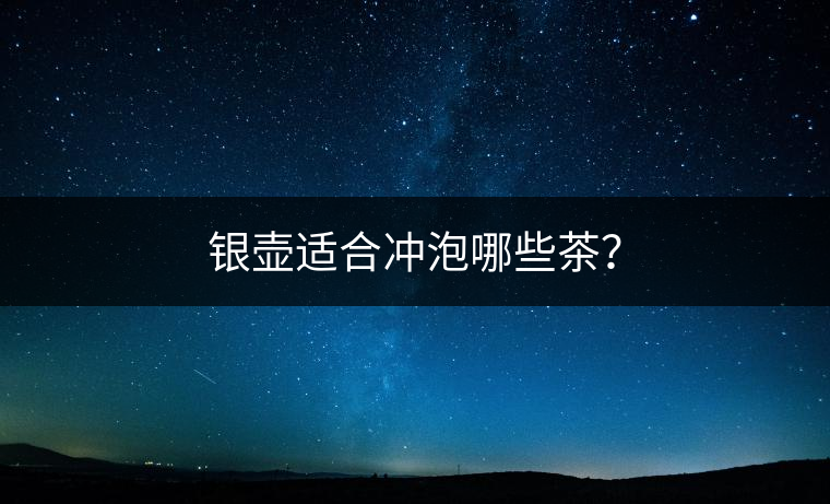 銀壺適合沖泡哪些茶？