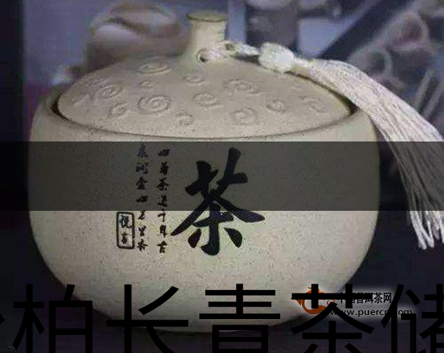 松柏長青茶儲(chǔ)存方法-3