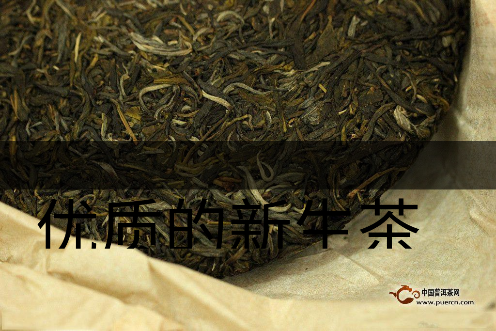 優(yōu)質(zhì)的新生茶是什么樣的？