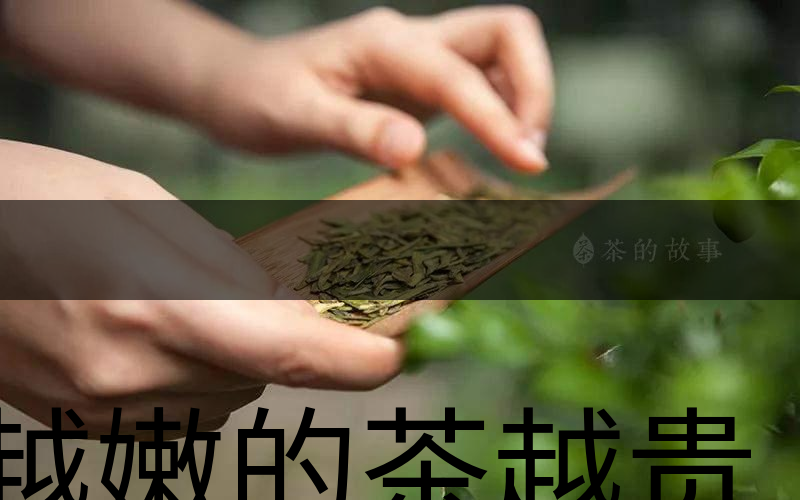 越嫩的茶越貴，但越貴的茶就越好嗎？