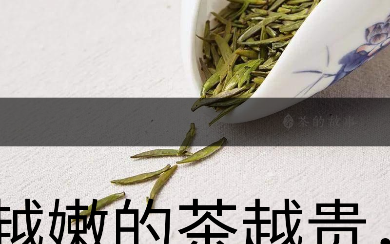 越嫩的茶越貴，但越貴的茶就越好嗎？-1