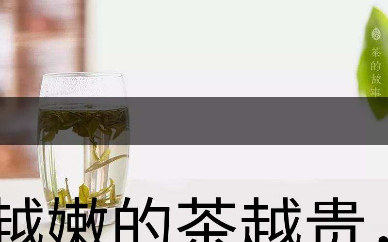 越嫩的茶越貴，但越貴的茶就越好嗎？-2