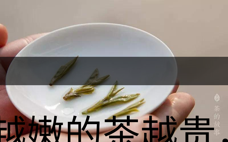 越嫩的茶越貴，但越貴的茶就越好嗎？-3