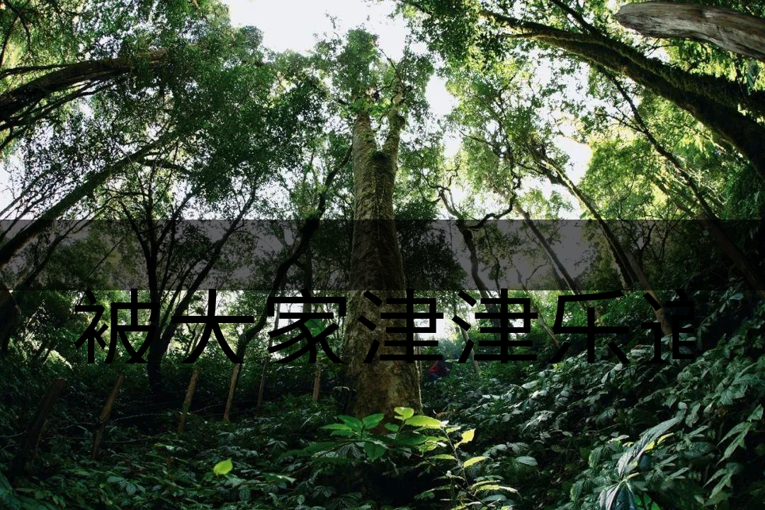 被大家津津樂道的森林茶，你知道是什么？-6-1