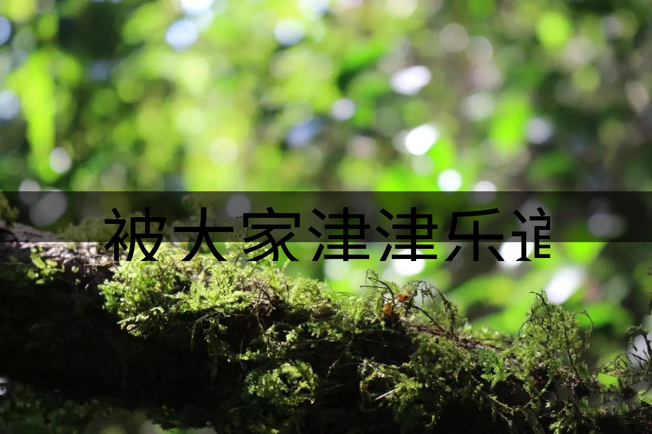 被大家津津樂道的森林茶，你知道是什么？-8-1