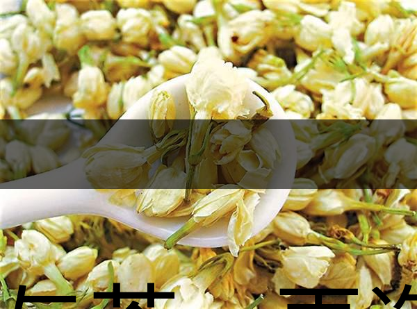 花與茶，再造茉莉之都——福州-1