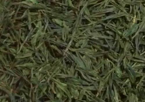 什么是海青茶？沖泡手法詳細(xì)教學(xué)！