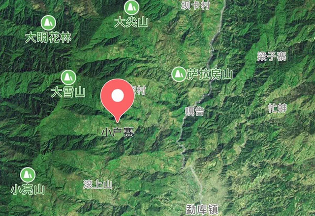 2021年小戶賽古樹秋茶有什么特點(diǎn)？