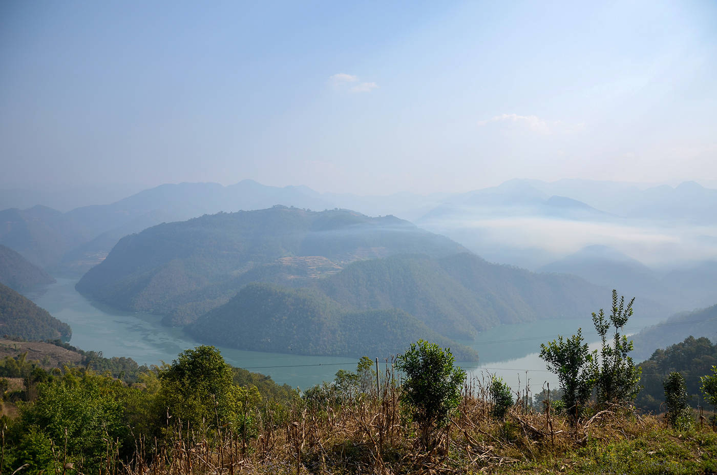 2021年白鶯山古樹秋茶，佛茶有什么魅力？