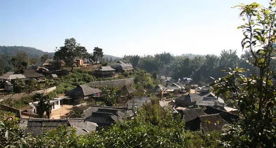 2021年班章茶區(qū)壩卡竜古樹秋茶多少錢一公斤？