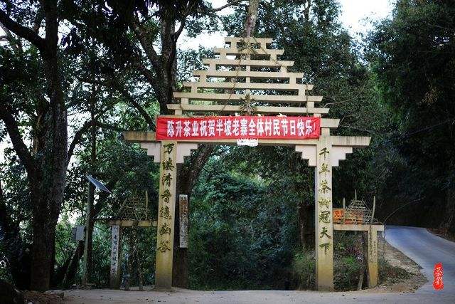 2021年南糯山半坡老寨古樹秋茶價(jià)格？