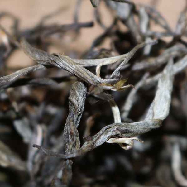 2021年帕沙古樹秋茶，你了解多少？