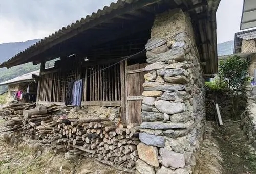 2022年景谷黃草壩古樹春茶特點是什么？