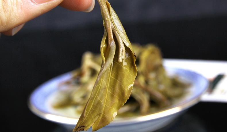 2022年冷水河古樹春茶價(jià)格？