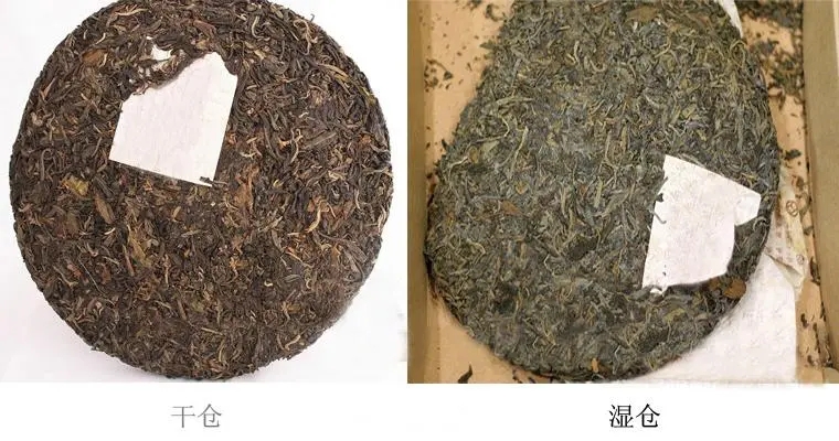 普洱茶怎么分辨干濕倉？