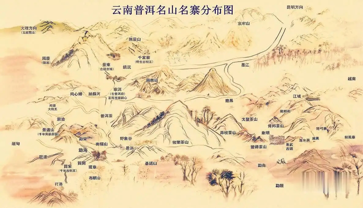 普洱茶怎么分山頭？