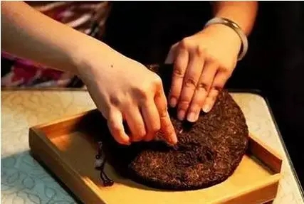 我憑什么選擇一款普洱茶：工藝篇？