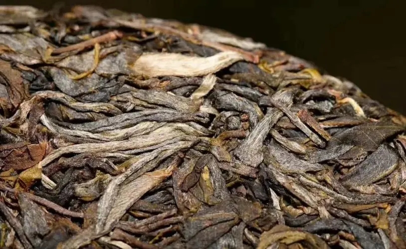 別瞎扯普洱茶的“霸氣”！偽大師！