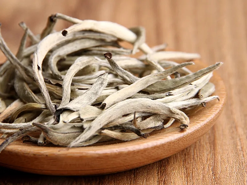 福鼎白茶、安吉白茶、云南月光白“三白”的區(qū)別