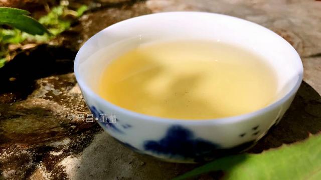 普洱茶有31種香味，你能聞出幾種來?