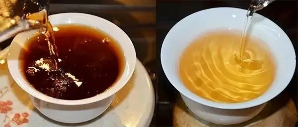 普洱茶湯怎么也會“出油”？