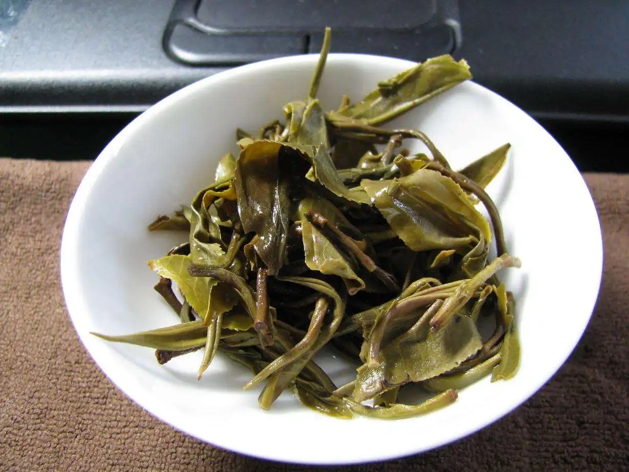 普洱茶的葉底有茶梗，就是茶不好嗎？