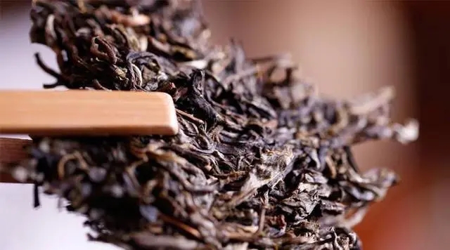 普洱生茶好還是普洱熟茶好喝？如何挑選適合自己的普洱茶？