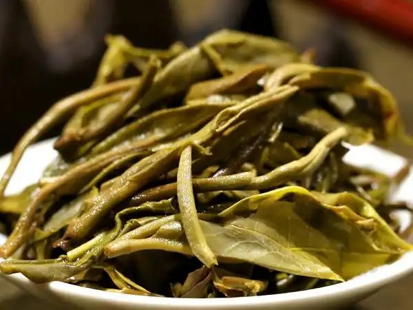 普洱茶好茶不怕“悶”，悶一悶看本味