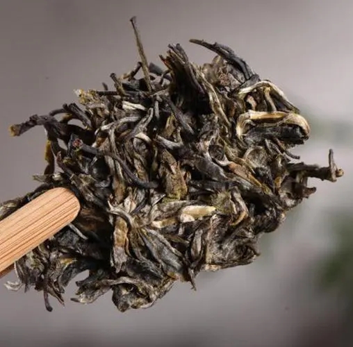 茶無(wú)貴賤！這些不知名的山頭，其實(shí)也產(chǎn)優(yōu)質(zhì)普洱茶！