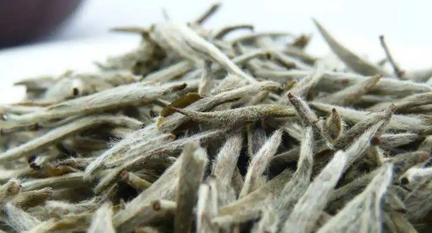 茶毫越多的茶，品質(zhì)就越高嗎？