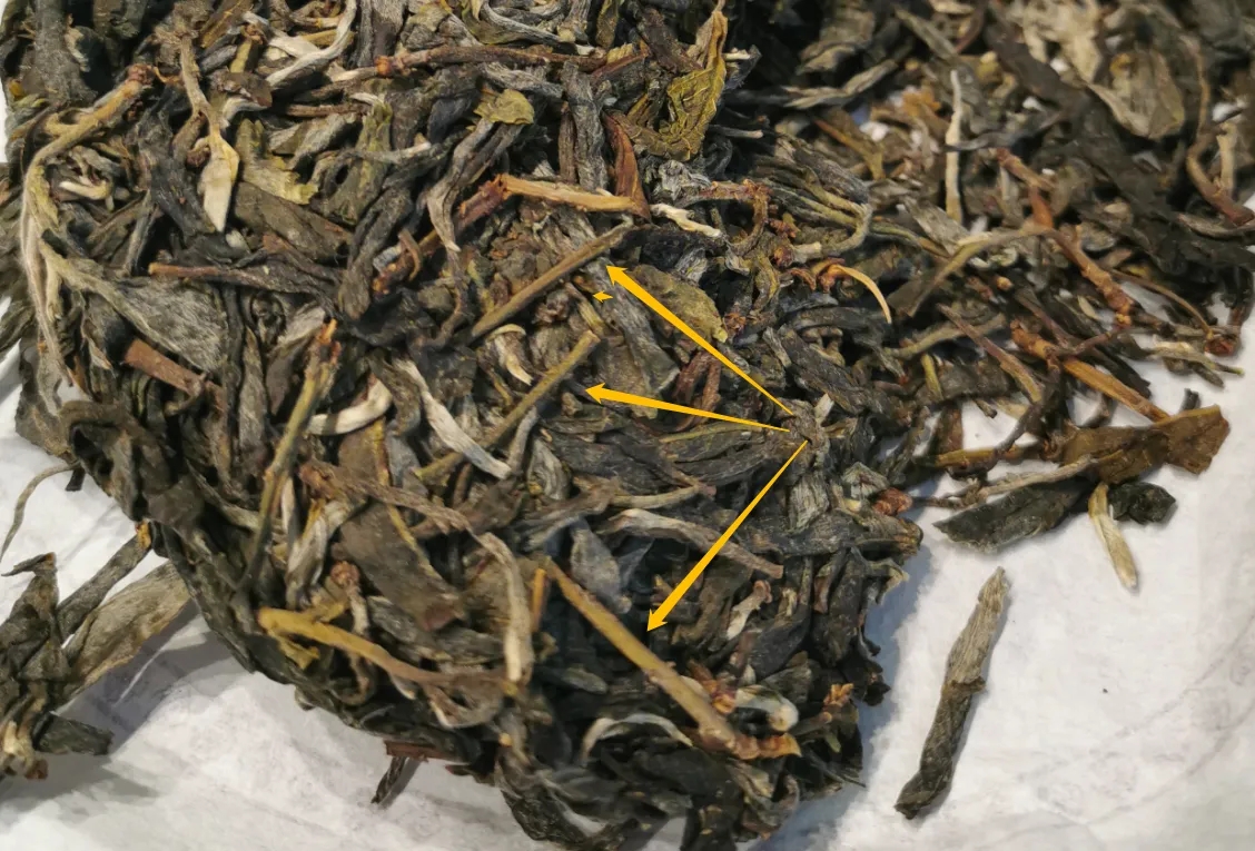 普洱茶的葉底有茶梗，就是茶不好嗎？