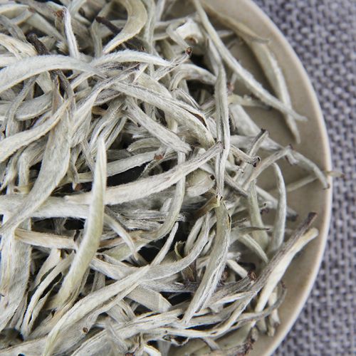 云南月光白，不一樣的白茶！