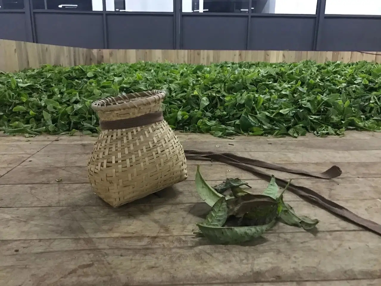 普洱茶，如果不談山頭，我們談什么？
