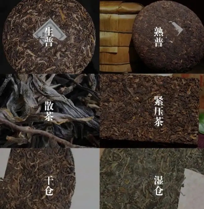 普洱茶不是越陳越香嗎？怎么也有最佳品飲期？
