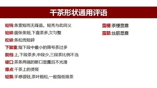 高級(jí)茶評(píng)員總結(jié)的評(píng)茶術(shù)語(yǔ)系列1：干茶形狀，不可不看！