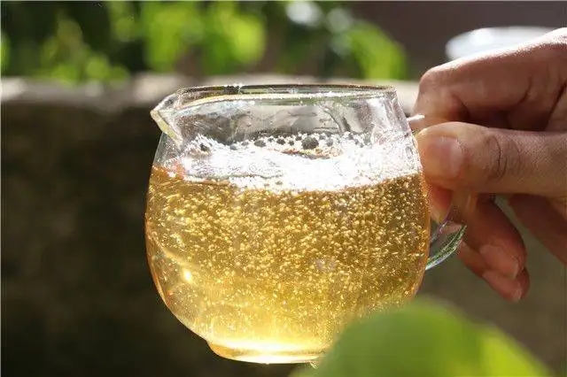 茶顏觀色”，看普洱茶條索里都蘊(yùn)含著怎樣的“密碼”？