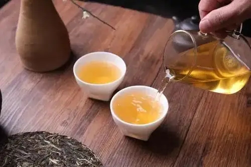 普洱茶怎么泡才好喝？ 普洱茶的沖泡技巧！