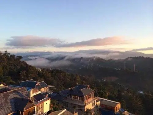 2023年南糯山古樹春茶多少一公斤？