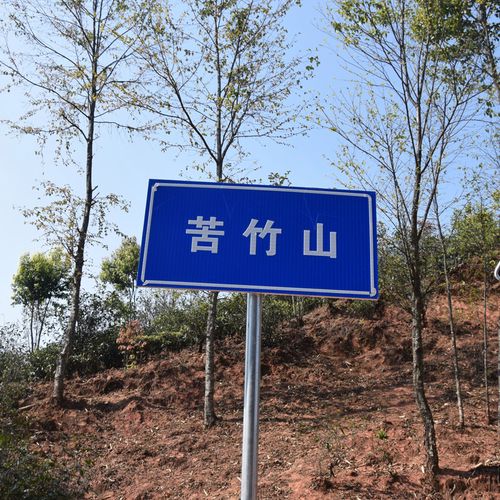 2023年苦竹山古樹春茶品質(zhì)如何？