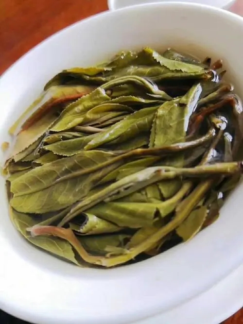 2023年鍋底塘古樹春茶特點(diǎn)是什么？